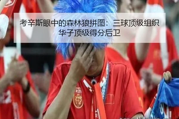考辛斯眼中的森林狼拼图：三球顶级组织 华子顶级得分后卫 | milan